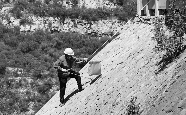 景區(qū)保潔工作